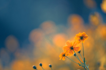 做梦梦到自己大姨妈来了