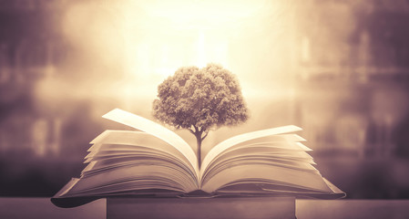 中学生艺术节手抄报