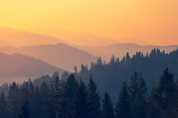 做梦梦到自己大姨妈来了