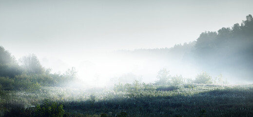 国外文学常识考点