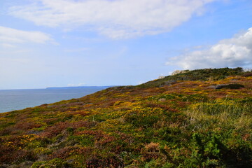 国外文学常识考点