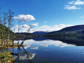 初一下册期中语文知识点总结