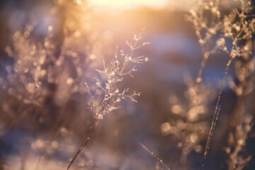 幼儿对事物认识模糊的措施