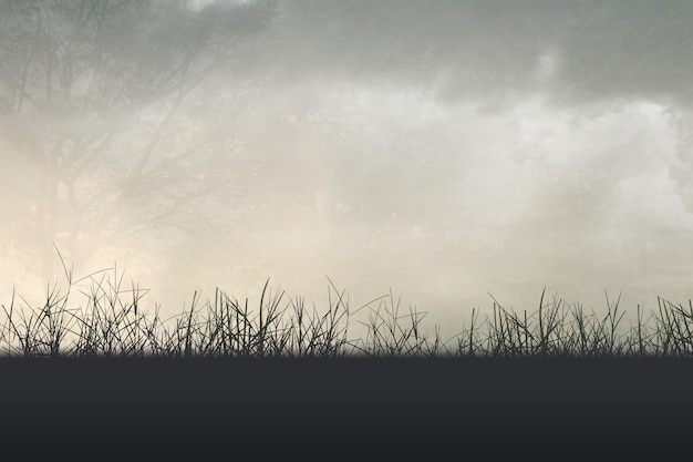 小学生生活中的法律常识知识点