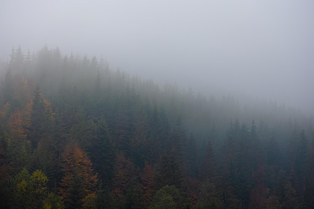 溥仪为何为妻子留下了一大笔遗产？