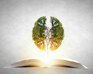 唐乾陵到底有没有被挖掘出来！》？