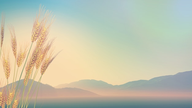 10道小数除法竖式