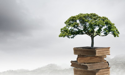 唐乾陵到底有没有被挖掘出来！》？