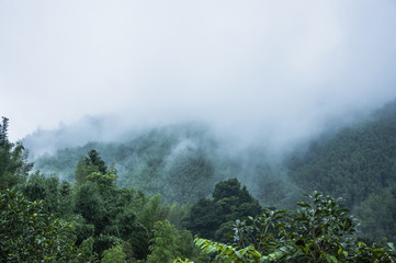 初一下册期中语文知识点总结